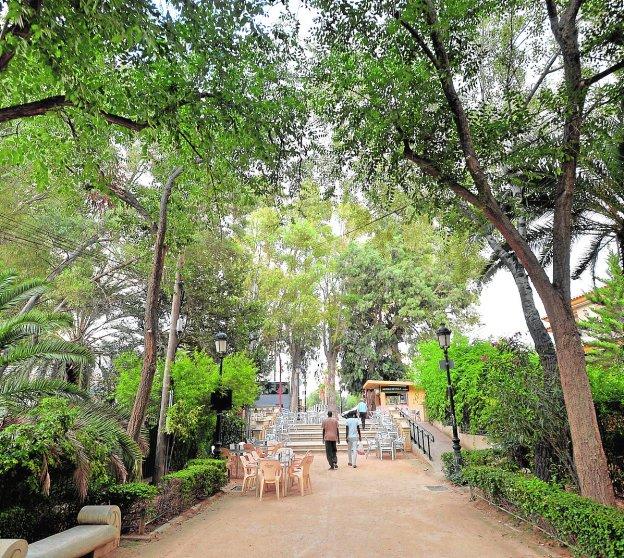 Los jardineros revisan el arbolado de los paseos hasta el santuario